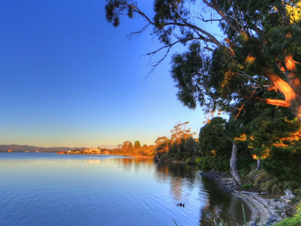 Beauty Point Tourist Park